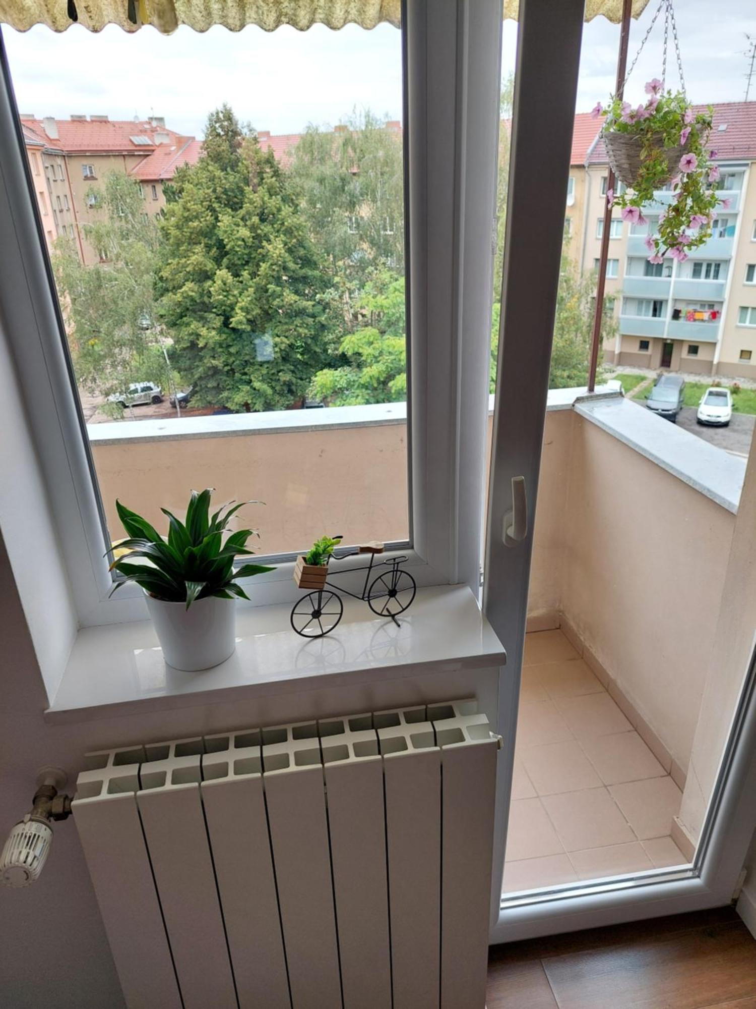 B&B Resslova Hradec Králové Exterior foto